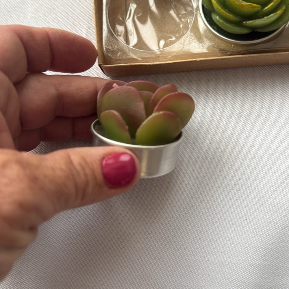 Set of Succulent Shaped tea light candles - 6pk - Picture 2 of 3